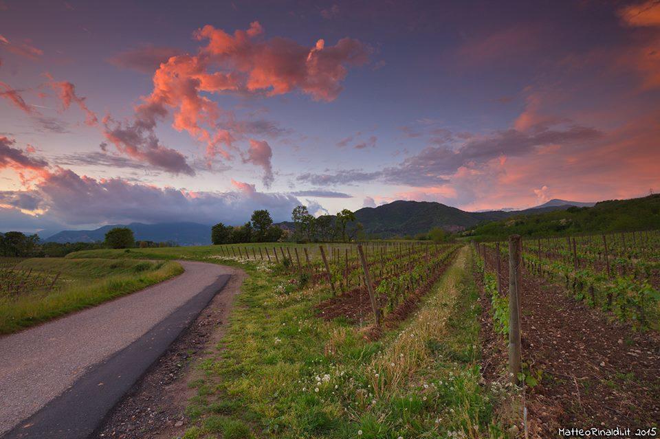 Wine & Lake In Franciacorta Passirano Exterior photo