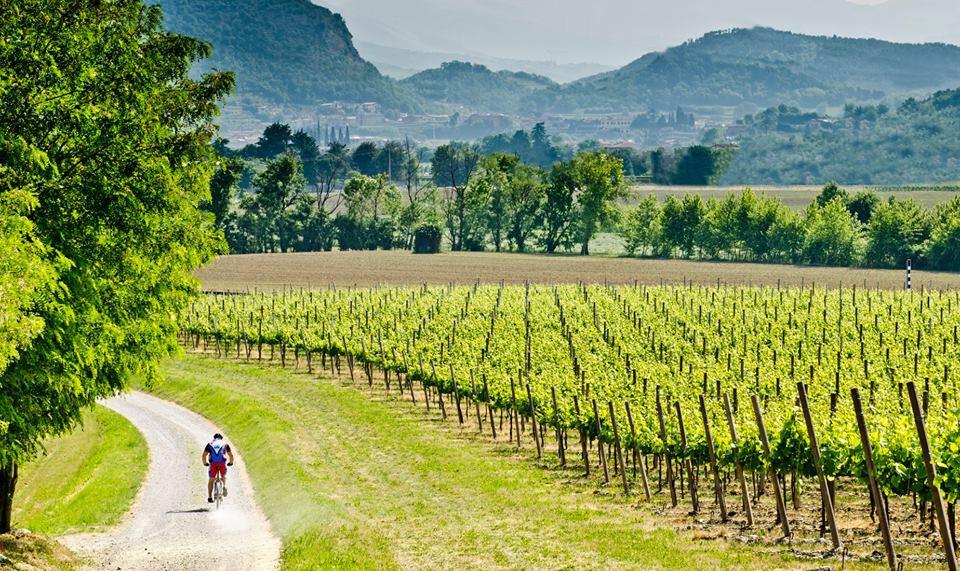 Wine & Lake In Franciacorta Passirano Exterior photo